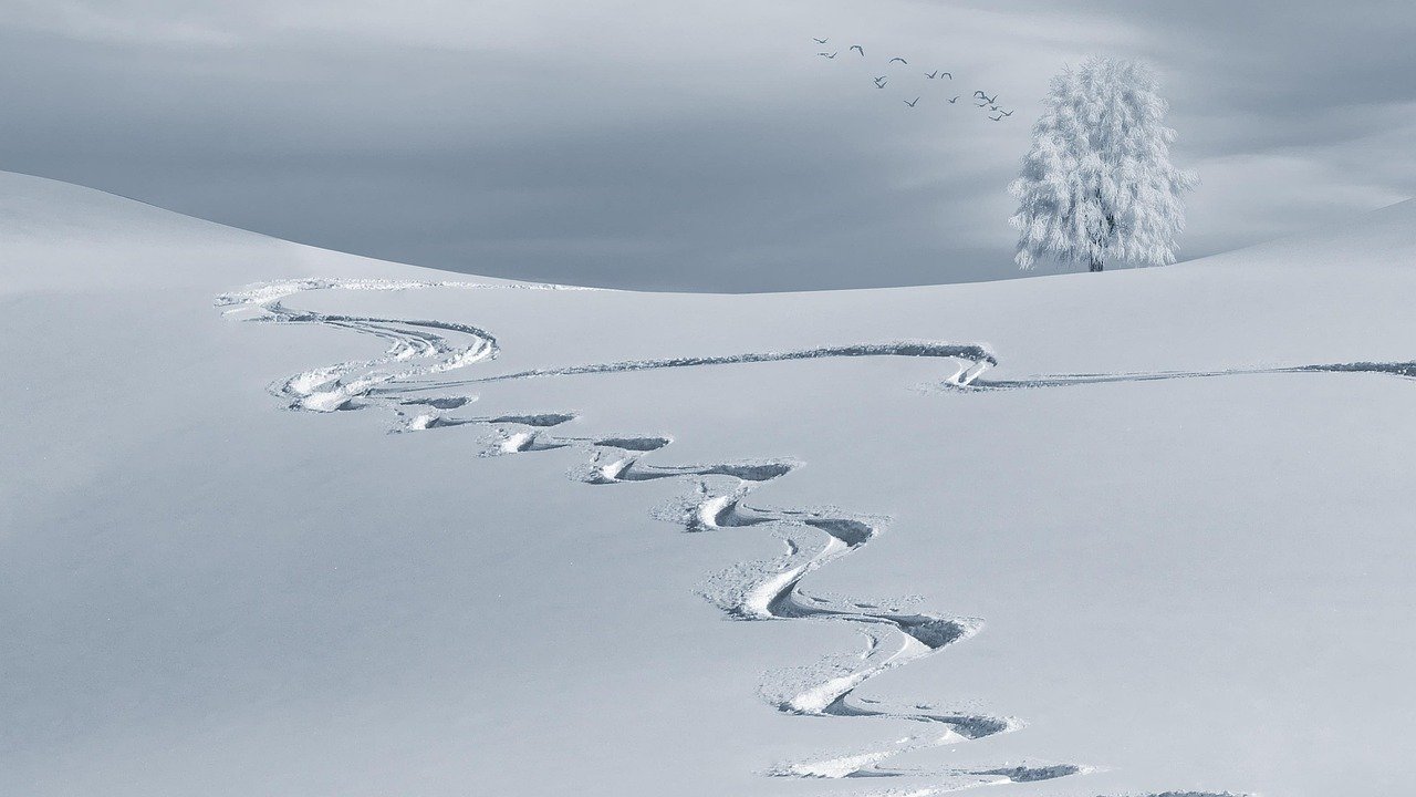 Ski Resort Shuttle